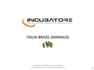 ITALIA-BRAZIL (MANAUS)

d.ssa Elisabetta Epifori; direttore operativo;
www.polotecnologico.it; www.incubatoreimpresa.it

1

 