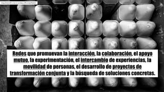 Redes que promuevan la interacción, la colaboración, el apoyo
mutuo, la experimentación, el intercambio de experiencias, la
movilidad de personas, el desarrollo de proyectos de
transformación conjunta y la búsqueda de soluciones concretas.
Greg	Simenoff cc	by-nc-sa https://flic.kr/p/YbdnGi
 