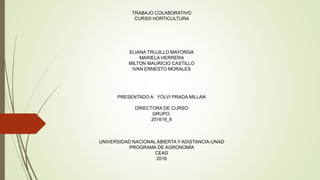 TRABAJO COLABORATIVO
CURSO HORTICULTURA
ELIANA TRUJILLO MAYORGA
MARIELA HERRERA
MILTON MAURICIO CASTILLO
IVAN ERNESTO MORALES
PRESENTADO A: YOLVI PRADA MILLAN
DIRECTORA DE CURSO
GRUPO.
201618_6
UNIVERSIDAD NACIONAL ABIERTA Y ADISTANCIA-UNAD
PROGRAMA DE AGRONOMÍA
CEAD
2016
 