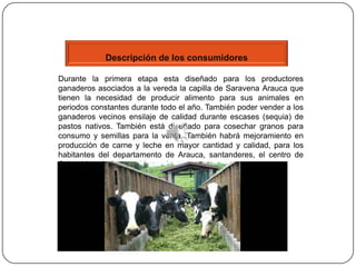 Descripción de los consumidores

Durante la primera etapa esta diseñado para los productores
ganaderos asociados a la vereda la capilla de Saravena Arauca que
tienen la necesidad de producir alimento para sus animales en
periodos constantes durante todo el año. También poder vender a los
ganaderos vecinos ensilaje de calidad durante escases (sequia) de
pastos nativos. También está diseñado para cosechar granos para
consumo y semillas para la venta. También habrá mejoramiento en
producción de carne y leche en mayor cantidad y calidad, para los
habitantes del departamento de Arauca, santanderes, el centro de
Colombia, y la frontera Venezolana.
 