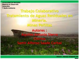 Universidad de Manizales
Maestría en Desarrollo
Sostenible
Y Medio Ambiente
Módulo : Manejo Integrado del
Agua
Trabajo Colaborativo
Tratamiento de Aguas Residuales en
Minería.
Minas Peñitas
Autores :
Aquiles Antonio Sierra
Chirino
Samir Alfonso Saade Carbal
 