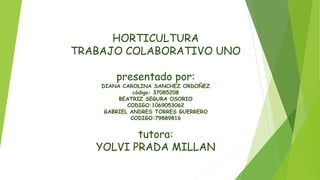 HORTICULTURA
TRABAJO COLABORATIVO UNO
presentado por:
DIANA CAROLINA SANCHEZ ORDOÑEZ
código: 37085208
BEATRIZ SEGURA OSORIO
CODIGO:1069053062
GABRIEL ANDRES TORRES GUERRERO
CODIGO:79889816
tutora:
YOLVI PRADA MILLAN
 