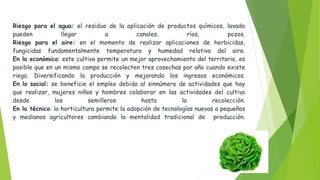 Riesgo para el agua: el residuo de la aplicación de productos químicos, lavado
pueden llegar a canales, ríos, pozos.
Riesgo para el aire: en el momento de realizar aplicaciones de herbicidas,
fungicidas fundamentalmente temperatura y humedad relativa del aire.
En lo económico: este cultivo permite un mejor aprovechamiento del territorio, es
posible que en un mismo campo se recolecten tres cosechas por año cuando existe
riego. Diversificando la producción y mejorando los ingresos económicos.
En lo social: se beneficie el empleo debido al sinnúmero de actividades que hay
que realizar, mujeres niños y hombres colaborar en las actividades del cultivo
desde los semilleros hasta la recolección.
En lo técnico: la horticultura permite la adopción de tecnologías nuevas a pequeños
y medianos agricultores cambiando la mentalidad tradicional de producción.
 