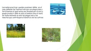 Las malas practicas pueden ocasionar daños en el
caso dañando las fuentes hidricas con plaguicidas y
fertilizantes al igual estos son llevados por el aire y
puede producir daño no solo al hombre sino al resto
de fauna matando no solo las plagas sino a los
insectos que contribuyen al beneficio de los cultivos
 