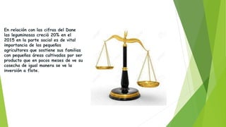 En relación con las cifras del Dane
las leguminosas creció 20% en el
2015 en la parte social es de vital
importancia de los pequeños
agricultores que sostiene sus familias
con pequeñas áreas cultivadas por ser
producto que en pocos meses de ve su
cosecha de igual manera se ve la
inversión a flote.
 
