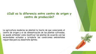 ¿Cuál es la diferencia entre centro de origen y
centro de producción?
La agricultura moderna se planteó la teoría de que conociendo el
centro de origen y el de domesticación de las plantas cultivadas,
se puede entender como modificar las plantas de acuerdo con las
necesidades actuales y brindarle las condiciones ambientales
requeridas para su desarrollo óptimo.
 