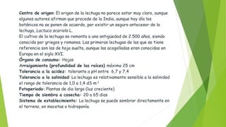Centro de origen: El origen de la lechuga no parece estar muy claro, aunque
algunos autores afirman que procede de la India, aunque hoy día los
botánicos no se ponen de acuerdo, por existir un seguro antecesor de la
lechuga, Lactuca scariola L.
El cultivo de la lechuga se remonta a una antigüedad de 2.500 años, siendo
conocida por griegos y romanos. Las primeras lechugas de las que se tiene
referencia son las de hoja suelta, aunque las acogolladas eran conocidas en
Europa en el siglo XVI.
Órgano de consumo: Hojas
Arraigamiento (profundidad de las raíces) máximo 25 cm
Tolerancia a la acidez: tolerante a pH entre 6,7 y 7,4
Tolerancia a la salinidad: La lechuga es relativamente sensible a la salinidad
el rango de tolerancia de 1,0 a 1,4 dS m-1
Fotoperiodo: Plantas de dia largo (luz creciente)
Tiempo de siembra a cosecha: 20 a 65 dias
Sistema de establecimiento: La lechuga se puede sembrar directamente en
el terreno, en macetas o hidroponía.
 