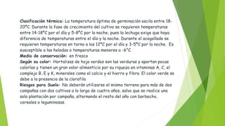 Clasificación térmica: La temperatura óptima de germinación oscila entre 18-
20ºC. Durante la fase de crecimiento del cultivo se requieren temperaturas
entre 14-18ºC por el día y 5-8ºC por la noche, pues la lechuga exige que haya
diferencia de temperaturas entre el día y la noche. Durante el acogollado se
requieren temperaturas en torno a los 12ºC por el día y 3-5ºC por la noche. Es
susceptible a las heladas o temperaturas menores a -6°C.
Medio de conservación: en fresco
Según su color: Hortalizas de hoja verdes son las verduras y aportan pocas
calorías y tienen un gran valor alimenticio por su riqueza en vitaminas A, C, el
complejo B, E y K, minerales como el calcio y el hierro y fibra. El color verde se
debe a la presencia de la clorofila
Riesgos para Suelo: No deberán utilizarse el mismo terreno para más de dos
campañas con dos cultivos a lo largo de cuatro años, salvo que se realice una
sola plantación por campaña, alternando el resto del año con barbecho,
cereales o leguminosas.
 