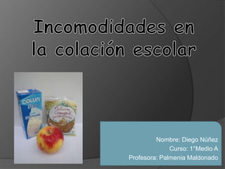 Nombre: Diego Núñez
Curso: 1°Medio A
Profesora: Palmenia Maldonado
 