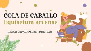 COLA DE CABALLO
Equisetum arvense
MAYDELI ONEYDA CACEROS MALDONADO
 