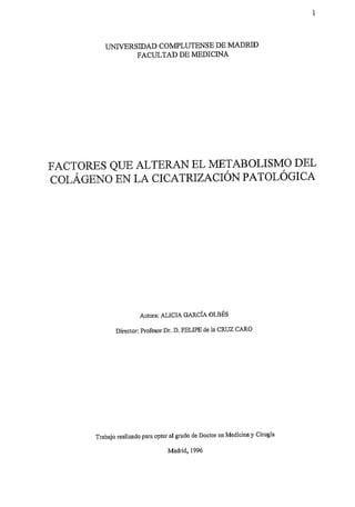 71

UNIVERSIDAD COMPLUTENSE DEMADRID
FACULTAD DE MEDICINA

FACTORES QUE ALTERAN EL METABOLISMO DEL
COLÁGENO EN LA CICATRIZACIÓN PATOLOGICA

Autora: ALICIA GARCIA OLBÉS
Director: Profesor Dr, D. FELIPE de la CRUZ CARO

Trabajo realizado para optar al grado de Doctor en Medicina y Cirugía
Madrid, 1996

 
