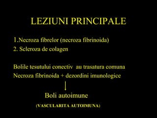 LEZIUNI PRINCIPALE
1.Necroza fibrelor (necroza fibrinoida)
2. Scleroza de colagen
Bolile tesutului conectiv au trasatura comuna
Necroza fibrinoida + dezordini imunologice
Boli autoimune
(VASCULARITA AUTOIMUNA)
 