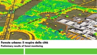 Foreste urbane: il respiro delle città
Preliminary results of forest monitoring
 