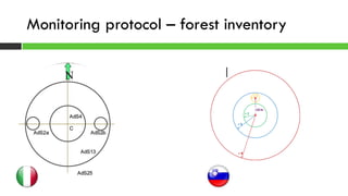 Monitoring protocol – forest inventory
 