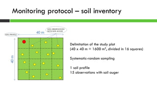 Monitoring protocol – soil inventory
Delimitation of the study plot
(40 x 40 m = 1600 m2, divided in 16 squares)
Systematic-random sampling
1 soil profile
15 observations with soil auger
 
