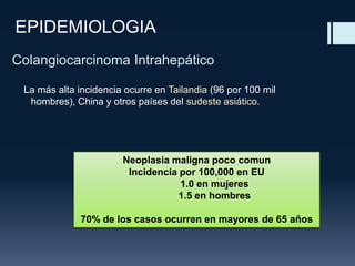 EPIDEMIOLOGIA
Colangiocarcinoma Intrahepático
La más alta incidencia ocurre en Tailandia (96 por 100 mil
hombres), China y otros países del sudeste asiático.

Neoplasia maligna poco comun
Incidencia por 100,000 en EU
1.0 en mujeres
1.5 en hombres
70% de los casos ocurren en mayores de 65 años

 