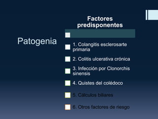 Factores
predisponentes

Patogenia

1. Colangitis esclerosarte
primaria
2. Colitis ulcerativa crónica
3. Infección por Clonorchis
sinensis
4. Quistes del colédoco

5. Cálculos biliares
6. Otros factores de riesgo

 