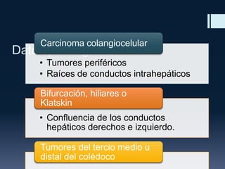 Carcinoma colangiocelular

Datos patológicos

• Tumores periféricos
• Raíces de conductos intrahepáticos
Bifurcación, hiliares o
Klatskin
• Confluencia de los conductos
hepáticos derechos e izquierdo.
Tumores del tercio medio u
distal del colédoco

 