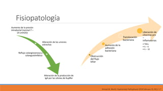Fisiopatología
Obstrucción
del flujo
biliar
Aumento de la
adhesión
bacteriana
Translocación
bacteriana
Liberación de
citocinas pro
–
inflamatorias
• TNFa
• IL – 6
• IL – 10
Aumento de la presión
intraductal (normal 7 –
14 cmH2O)
Alteración de las uniones
estrechas
Reflujo colangiovenoso y
colanguiolinfático
Alteración de la producción de
IgA por las células de Kupffer
Ahmed M, World J Gastrointest Pathophysiol 2018 February 15; 9(1): 1-7
 
