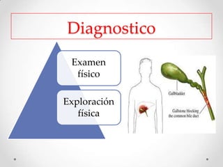 Diagnostico
Examen
físico
Exploración
física
 