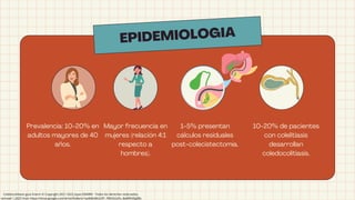 EPIDEMIOLOGIA
Prevalencia: 10-20% en
adultos mayores de 40
años.
Mayor frecuencia en
mujeres (relación 4:1
respecto a
hombres).
1-5% presentan
cálculos residuales
post-colecistectomía.
10-20% de pacientes
con colelitiasis
desarrollan
coledocolitiasis.
Coledocolitiasis guia Enarm © Copyright 2021-2022 Joyas ENARM - Todos los derechos reservados,
retrived 1,2025 from https://drive.google.com/drive/folders/1qz8dbsBULDP_7RKXG2vFx_8eMRHDg9Bc
 