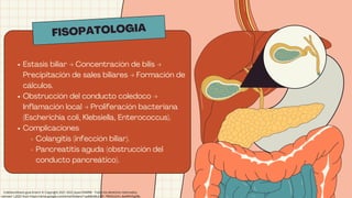 FISOPATOLOGIA
Estasis biliar → Concentración de bilis →
Precipitación de sales biliares → Formación de
cálculos.
Obstrucción del conducto coledoco →
Inflamación local → Proliferación bacteriana
(Escherichia coli, Klebsiella, Enterococcus).
Complicaciones
Colangitis (infección biliar).
Pancreatitis aguda (obstrucción del
conducto pancreático).
Coledocolitiasis guia Enarm © Copyright 2021-2022 Joyas ENARM - Todos los derechos reservados,
retrived 1,2025 from https://drive.google.com/drive/folders/1qz8dbsBULDP_7RKXG2vFx_8eMRHDg9Bc
 