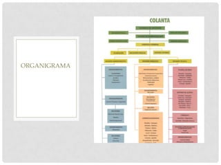 ORGANIGRAMA
 
