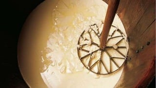 MATERIA PRIMA
La leche es obviamente la materia prima principal para la elaboración de los quesos. Siempre partiremos de l...