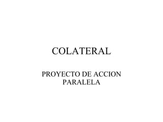 COLATERAL PROYECTO DE ACCION PARALELA 
