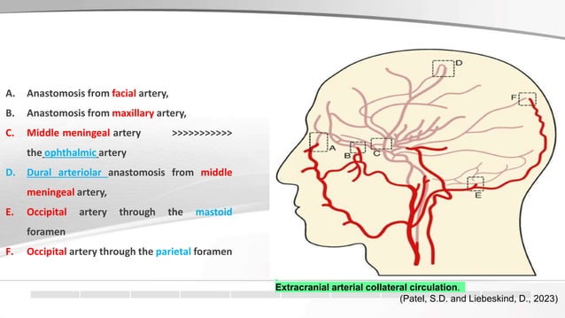 extracranial and intracranial cerebral collateral circulation .pptx