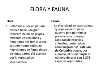 FLORA Y FAUNA
Flora
• Colombia al ser un país del
trópico tiene una gran
representación de grupos
taxonómicos en fauna y
flora típica del área a la que
se suman variedades de
migraciones de fauna desde
distintas partes del planeta
por la variedad de
ecosistemas.​
Fauna
La diversidad de ecosistemas
que se encuentran en
nuestro país permite la
presencia de una gran
cantidad de especies
animales, tanto típicas
como migratorias. Lafauna
de Colombia ocupa, por
ejemplo, el primer lugar en
número de aves con 1.876
especies registradas.
 