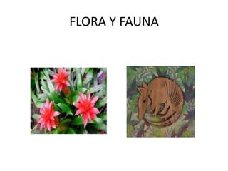 FLORA Y FAUNA
 