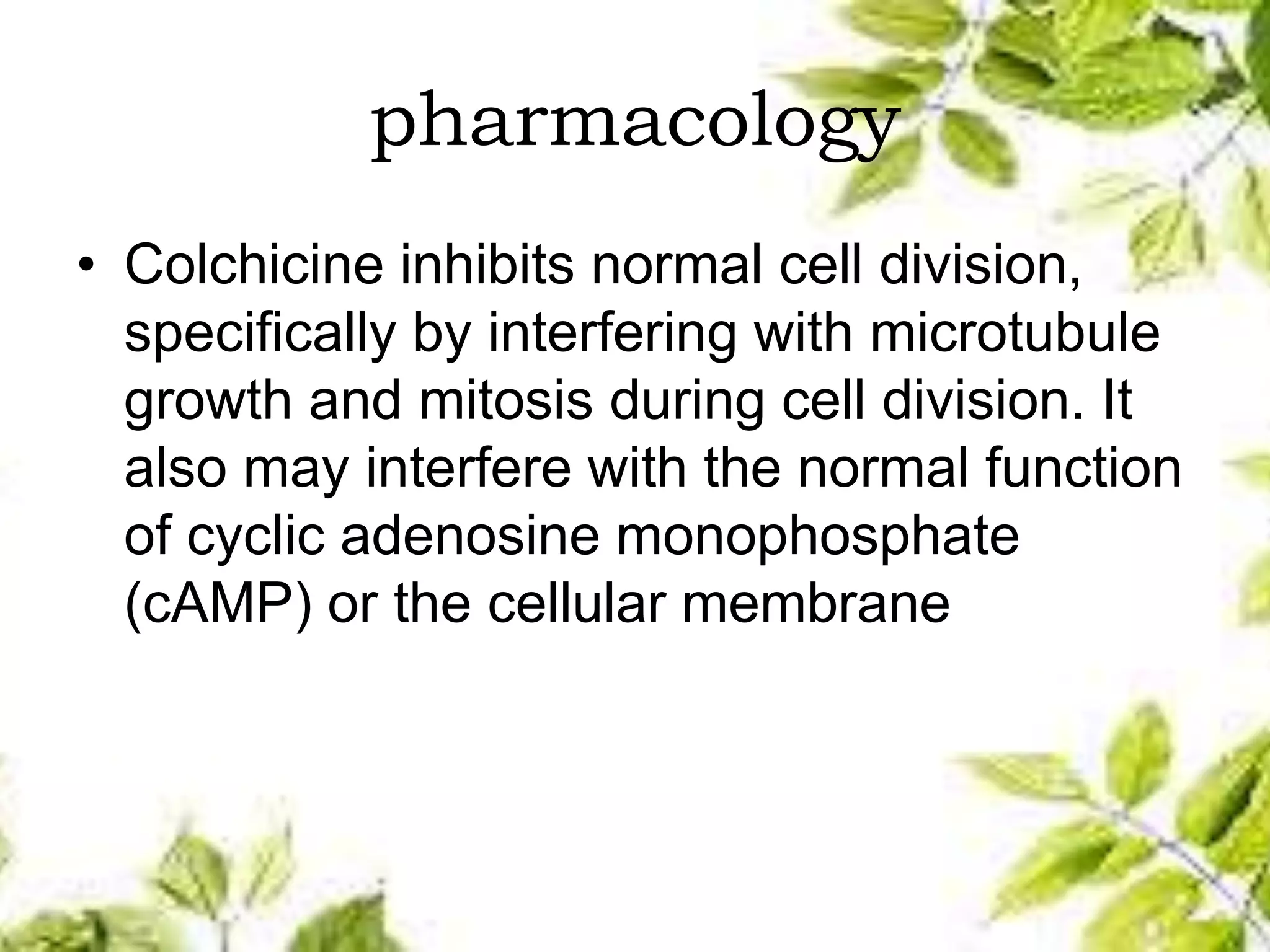 pharmacology
• Colchicine inhibits normal cell division,
specifically by interfering with microtubule
growth and mitosis during cell division. It
also may interfere with the normal function
of cyclic adenosine monophosphate
(cAMP) or the cellular membrane
 