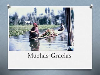 Muchas Gracias
 