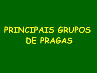 PRINCIPAIS GRUPOS
DE PRAGAS
 