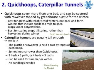 2. Quickhoops, Caterpillar Tunnels
• Quickhoops cover more than one bed, and can be covered
with rowcover topped by greenhouse plastic for the winter.
– Best for areas with reliably cold winters, not back-and-forth
winters that include spells too mild to keep
crops under polyethylene.
– Best for storing crops till spring, rather than
harvesting during winter
• Caterpillar tunnels are usually tall enough
to walk in
– The plastic or rowcover is held down by ropes at
each hoop.
– Sometimes narrower than Quickhoops.
– 2 beds + 1 path, or 4 beds + 3 paths
– Can be used for summer or winter.
– No sandbags needed
Photo Growing
for Market
Photo Johnnys Seeds
 