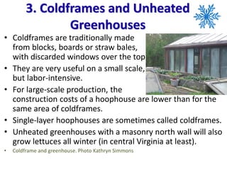 3. Coldframes and Unheated
Greenhouses
• Coldframes are traditionally made
from blocks, boards or straw bales,
with discarded windows over the top.
• They are very useful on a small scale, but
but labor-intensive.
• For large-scale production, the
construction costs of a hoophouse are lower than for the
same area of coldframes.
• Single-layer hoophouses are sometimes called coldframes.
• Unheated greenhouses with a masonry north wall will also
grow lettuces all winter (in central Virginia at least).
• Coldframe and greenhouse. Photo Kathryn Simmons
 