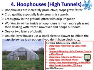 4. Hoophouses (High Tunnels)
For more details, see my slideshows
• Hoophouse Production of Cool Season
Crops
• Sequential Planting of Cool Season Crops in
a High Tunnel
• Hoophouse in Spring and Summer
• Hoophouse in Fall and Winter
• Many Crops, Many Plantings, to Maximize
High Tunnel Production Efficiency
on SlideShare.net
➢ Hoophouses are incredibly productive, crops grow faster
➢ Crop quality, especially leafy greens, is superb.
➢ Crops grow in the ground, often with drip irrigation
➢ Working in winter inside a hoophouse is much more pleasant
than dealing with frozen rowcover and hoops outdoors.
➢ One or two layers of plastic
➢ Double-layer houses use a small electric blower to inflate the
gap. Solawrap is an option if you don’t have electricity.
 