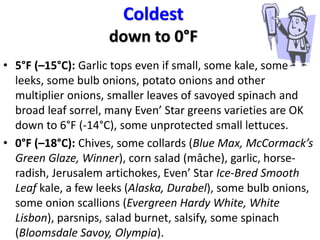 Coldest
down to 0°F
• 5°F (–15°C): Garlic tops even if small, some kale, some
leeks, some bulb onions, potato onions and other
multiplier onions, smaller leaves of savoyed spinach and
broad leaf sorrel, many Even’ Star greens varieties are OK
down to 6°F (-14°C), some unprotected small lettuces.
• 0°F (–18°C): Chives, some collards (Blue Max, McCormack’s
Green Glaze, Winner), corn salad (mâche), garlic, horse-
radish, Jerusalem artichokes, Even’ Star Ice-Bred Smooth
Leaf kale, a few leeks (Alaska, Durabel), some bulb onions,
some onion scallions (Evergreen Hardy White, White
Lisbon), parsnips, salad burnet, salsify, some spinach
(Bloomsdale Savoy, Olympia).
 