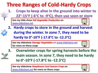 1. Crops to keep alive in the ground into winter to
22°-15°F (-6°C to -9°C), then use soon or store
2. Hardy crops to store in the ground and harvest
during the winter. In zone 7, they need to be
hardy to 0°-10°F (-17.8°C to -12.3°C)
3. Overwinter crops for spring harvests before the
main season. In zone 7, they need to be hardy
to 0°-10°F (-17.8°C to -12.3°C)
See my slideshow Hoophouse Cool Season Crops on
www.slideshare.net for more on these crops
Three Ranges of Cold-Hardy Crops
See my slideshow Storage Vegetables on www.slideshare.net
for more on these crops
See my slide show Fall Vegetable Production on
www.slideshare.net
 