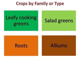 Crops by Family or Type
Leafy cooking
greens
Salad greens
Roots Alliums
 