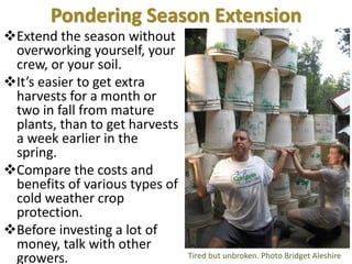 Pondering Season Extension
❖Extend the season without
overworking yourself, your
crew, or your soil.
❖It’s easier to get extra
harvests for a month or
two in fall from mature
plants, than to get harvests
a week earlier in the
spring.
❖Compare the costs and
benefits of various types of
cold weather crop
protection.
❖Before investing a lot of
money, talk with other
growers. Tired but unbroken. Photo Bridget Aleshire
 