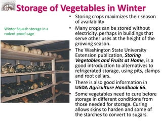 Storage of Vegetables in Winter
• Storing crops maximizes their season
of availability
• Many crops can be stored without
electricity, perhaps in buildings that
serve other uses at the height of the
growing season.
• The Washington State University
Extension publication, Storing
Vegetables and Fruits at Home, is a
good introduction to alternatives to
refrigerated storage, using pits, clamps
and root cellars.
• There is also good information in
USDA Agriculture Handbook 66.
• Some vegetables need to cure before
storage in different conditions from
those needed for storage. Curing
allows skins to harden and some of
the starches to convert to sugars.
Winter Squash storage in a
rodent-proof cage
 