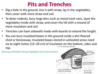 Pits and Trenches
• Dig a hole in the ground, line it with straw, lay in the vegetables,
then cover with more straw and soil.
• To deter rodents, bury large bins such as metal trash cans, layer the
vegetables inside with straw, and cover the lid with a mound of
more insulation and soil.
• Trenches can have sidewalls made with boards to extend the height.
• You can bury insulated boxes in the ground inside a dirt-floored
shed or breezeway. Insulated boxes stored in unheated areas need
six to eight inches (15–20 cm) of insulation on the bottom, sides and
top.
Drawing credit WSU Storing Vegetables and Fruits at Home
 