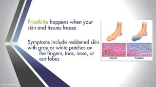 Cold Weather | PDF