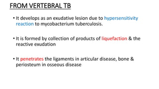 FROM VERTEBRAL TB
• It develops as an exudative lesion due to hypersensitivity
reaction to mycobacterium tuberculosis.
• It is formed by collection of products of liquefaction & the
reactive exudation
• It penetrates the ligaments in articular disease, bone &
periosteum in osseous disease
 
