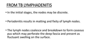 FROM TB LYMPHADENITIS
• In the initial stages, the nodes may be discrete.
• Periadenitis results in matting and fixity of lymph nodes.
• The lymph nodes coalesce and breakdown to form caseous
pus which may perforate the deep fascia and present as
fluctuant swelling on the surface.
 