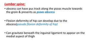 Lumbar spine:
• abscess can have pus track along the psoas muscle towards
the groin & presents as psoas abscess
• Flexion deformity of hip can develop due to the
abscess(pseudo flexion deformity of hip)
• Can gravitate beneath the inguinal ligament to appear on the
medial aspect of thigh
 