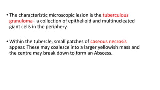 • The characteristic microscopic lesion is the tuberculous
granuloma– a collection of epithelioid and multinucleated
giant cells in the periphery.
• Within the tubercle, small patches of caseous necrosis
appear. These may coalesce into a larger yellowish mass and
the centre may break down to form an Abscess.
 