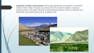 September, October and November: All through September, the weather is somewhat
similar to that in May. The days are a lovely 20-22°C and all of Ladakh is rinsed by
ample sunshine. The nights are back to being bitterly cold the months of October and
November that Ladakh goes back to its gloomy self.
 